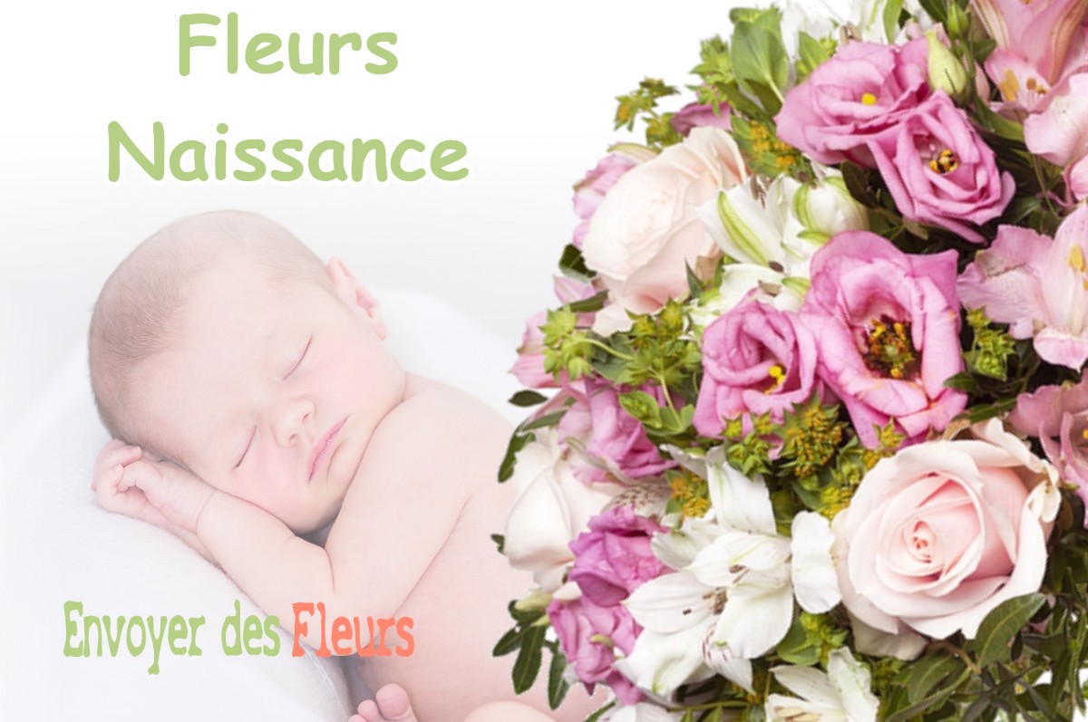 lIVRAISON FLEURS NAISSANCE à SAUBUSSE